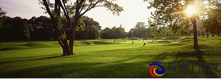 幫体育生擼雞巴爽到噴|创新玩法引领年轻玩家热潮-2