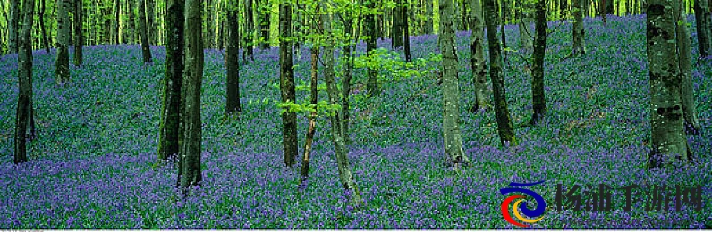 tiktok色板1.21.3|短视频平台配色指南版本一二一三-3