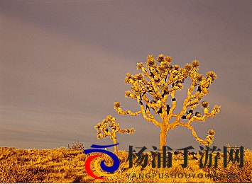 国产男男GayGay网站|国内男同志交流平台展示-1