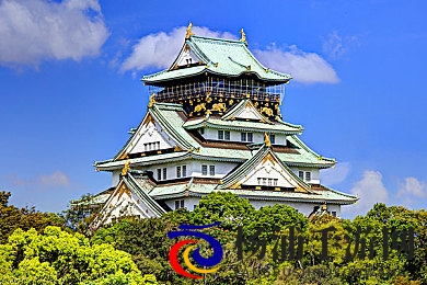 老师的黑森林|教育变革破局之路探索-3