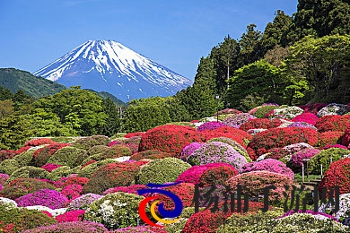 玩弄OL丝袜高跟秘书|探索办公室时尚魅力秘书的秘密-1