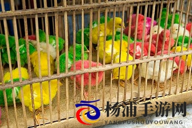 老婆被多人干的很舒服|伴侣体验极致愉悦的多人互动-3