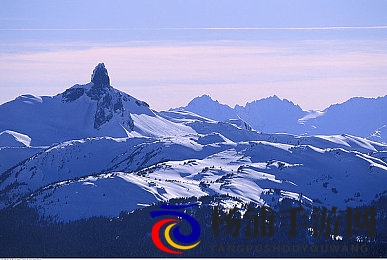 99这里只有|探索极致生活的新潮流