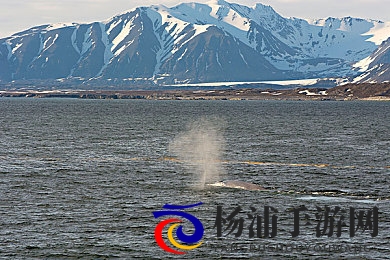 台湾中文文化娱乐网站有哪些|台湾地区主要汉语文化平台推荐分析-2