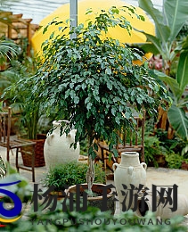 66色色|网络文化新风潮引领年轻潮流-2