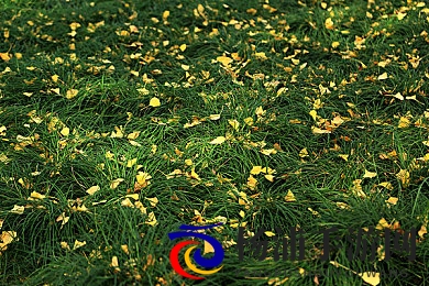 胡桃座旅行者吃胡萝卜|未来星际探索融合科技与文化的奇妙蓝图-2