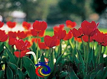 网爆门|网络暴力背后隐藏的社会危机-3