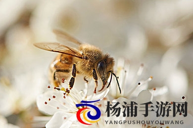 av传媒|成人视频展示平台-2