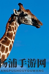 国产超帅Gaychina男同|社会多元化新风潮引领性别平等潮流