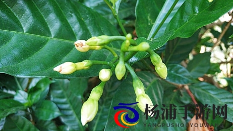 九九这里只有精品|九九精彩视频选集在线播放-2