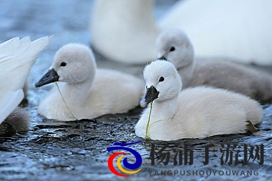 69人人搡人妻人人玩|十八玩家互动激情挑战-2