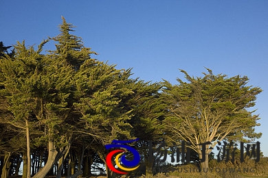 吃瓜网-免费吃瓜万里长征|看点天地免费探索精彩之旅-2