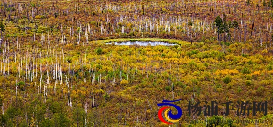 妖精漫画免费漫画入口页面羊城派|童话绘本免费阅读平台羊城先锋-1