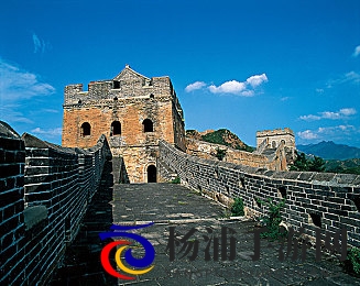 榨干玩废改造篮球体育生|青少年体育培训的未来趋势-3