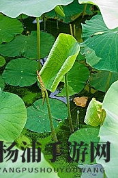 天天干天天干天天干天天|每天努力不断向前迈步-2