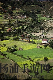 我半夜摸妺妺的奶c了她的|家庭隐私曝光引发社会震动-2