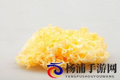 天天舔天天射天天操|每日巡游激情无限尽享快感