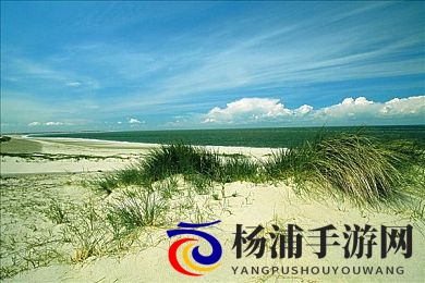 天天日天天操天天射|网络用语背后的文化象征与社会影响