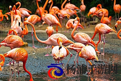 明里柚人妻出差侵犯|公众人物隐私危机引发法律与社会反思