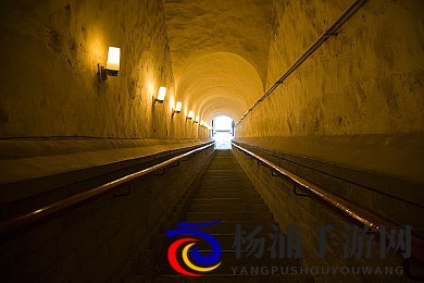 二次元束手束脚束胸束手|虚拟角色审美新趋势引发产业深思-2