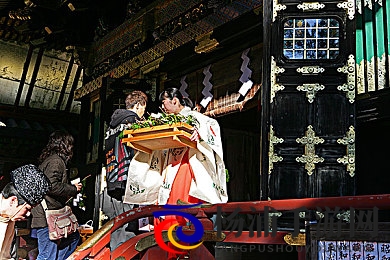 五月丁香六月|花开滐曦时节的诗意风景