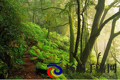 在ktv做公主被客人吸奶头|在卡拉OK房里扮演公主遭遇顾客亲吻-1