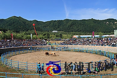 大学生情侣激情啪啪|高校学子炽烈亲密互动侣伴-2