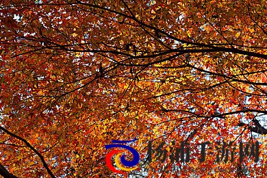 和表妺洗澡我c了她好几次|虚拟世界的真实追求与伦理挑战-2