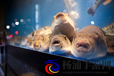 a√天堂中文8|精彩无码影院免费观看最新剧集-1