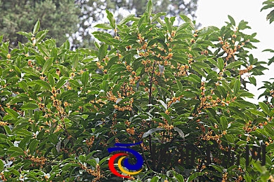 小男生光着小jiji无码|青春男孩裸露私密照片曝光-2