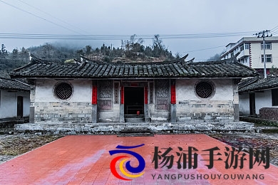 66色色|网络文化新风潮引领年轻潮流