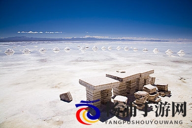 五月丁香六月|花开滐曦时节的诗意风景-3