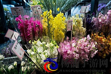 天堂一区二区三区|美好境界的全面体验-1