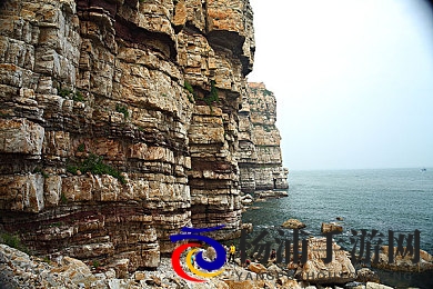 毛茸茸妇女体内汇编|未来科技与人类身份的奇异融合-1