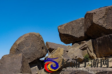 电影玛露的园丁|细腻情感与人生启示的温暖之作-1