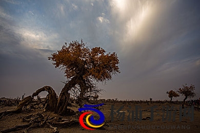 一个人www|个人品牌崛起的数字空间新趋势-2