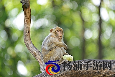 男男被 到爽 无套网站|网络内容多样化带来的社会挑战-2