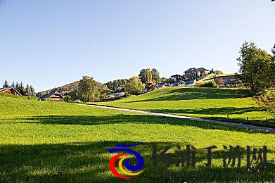 free性高满足HD性Bww|内容多元化推动网络新时代-2