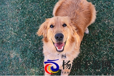 爆乳汗だく肉感佐山爱tjeab|网络文化新宠展现极致表达方式-3