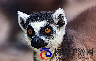 juliaann与黑人|朱莉安探索多元文化背景人物-2