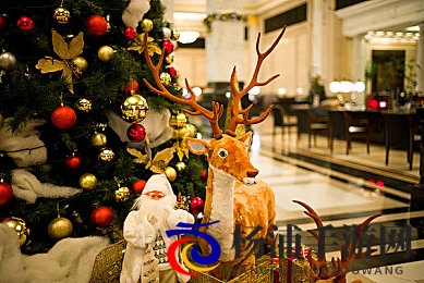 黑人极品巨大videoshd的优点|非洲优质高清大片的独特优势-3