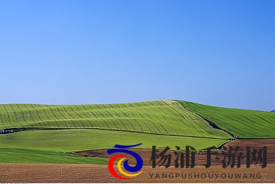 p站码无精品秘 入口|探索未来游戏获取新路径-2