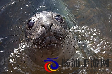 3D无码性爽h动漫18禁|高清立体剧场冒险激情无限-2