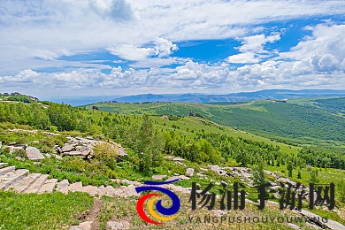 蝌蚪窝一个释放蝌蚪的网站|青蛙幼苗的归宿平台-1