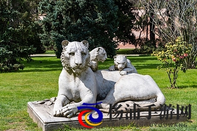 totakkahayakirguzu08的介绍|探索totakkahayakirguzu08的精彩内容