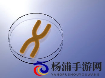 黄色软件免费下|免费获取黄色应用资源入口-2