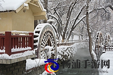 黄色下载软件|图片免费下载工具推荐-2