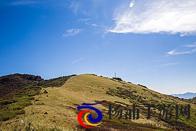 外国人给我吃兴奋剂|跨境交流隐患揭秘公众健康危机-1