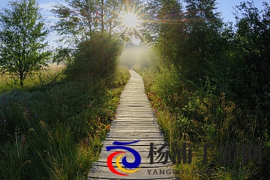 王强快拔出来老师怀孕|剧情创新引发的行业变革探索-2