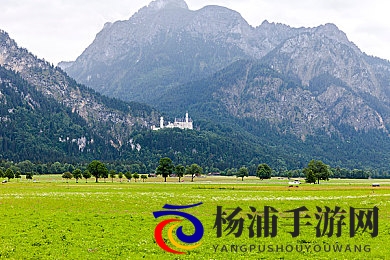 调教+虐茎+虐睾+肌肉club|肌肉锻炼与极限挑战联盟